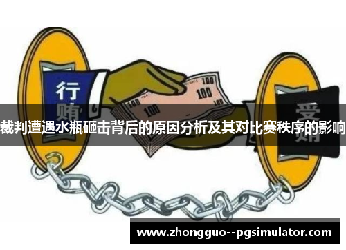 裁判遭遇水瓶砸击背后的原因分析及其对比赛秩序的影响