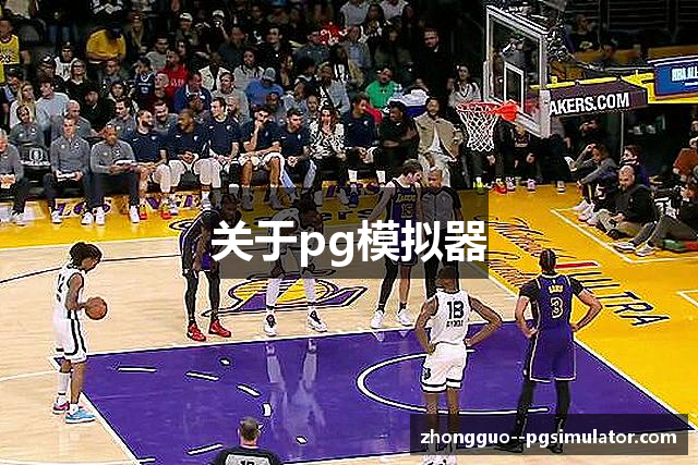 关于pg模拟器
